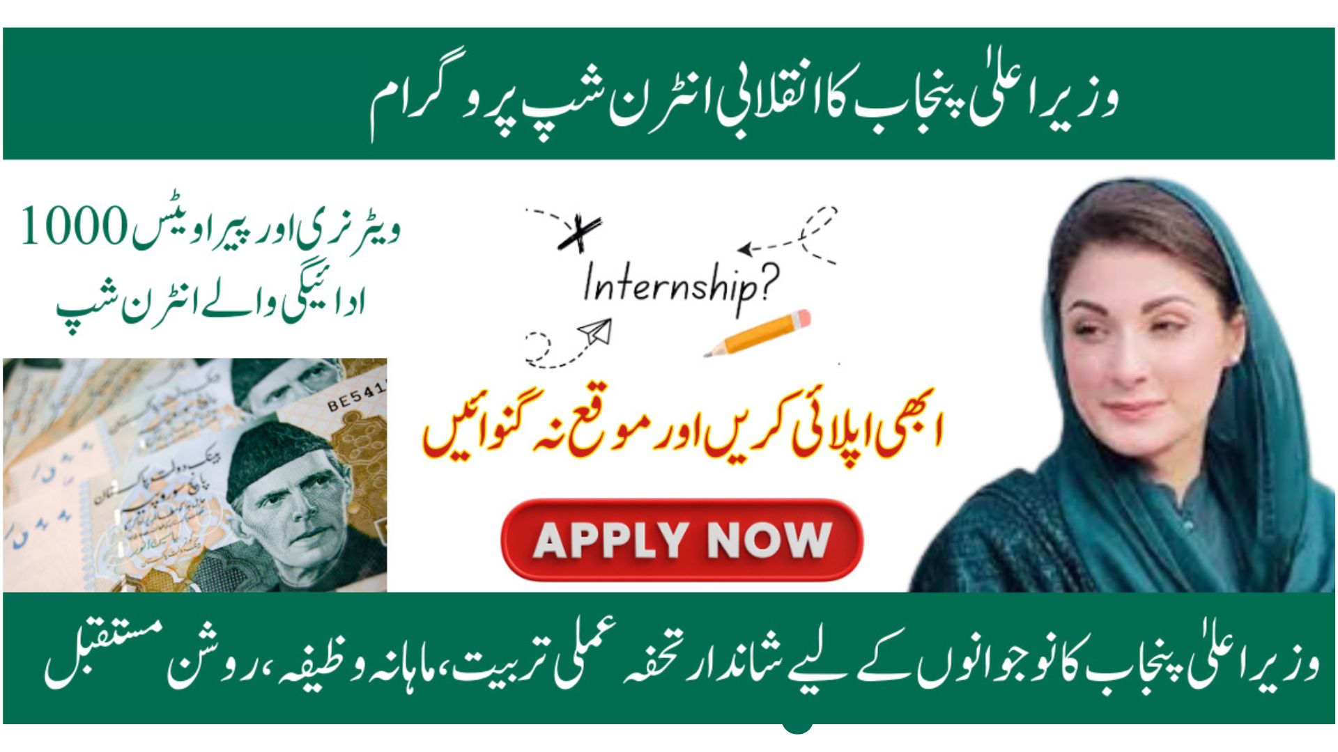 CM Punjab Internship Program Veterinary